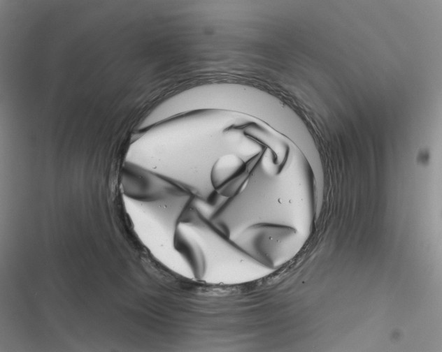 X0000116810129201001151152