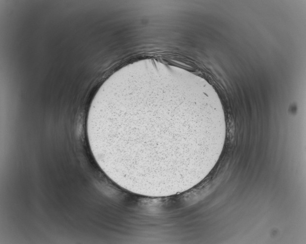 X0000116810131201001151152