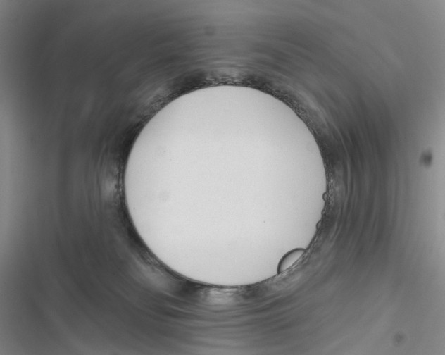 X0000116810134201001151152