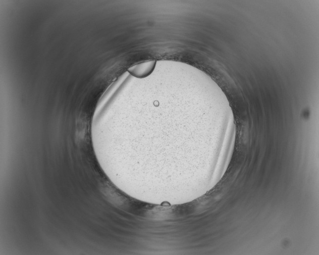 X0000116810138201001151151