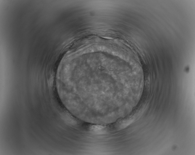 X0000116810139201001151151
