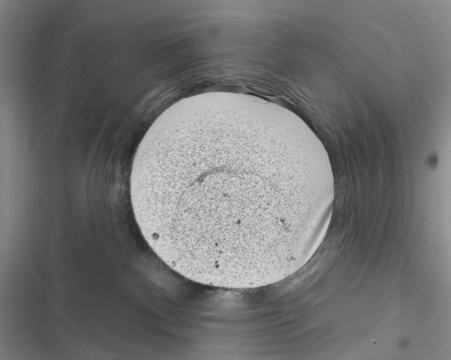 X0000116810140201001151151