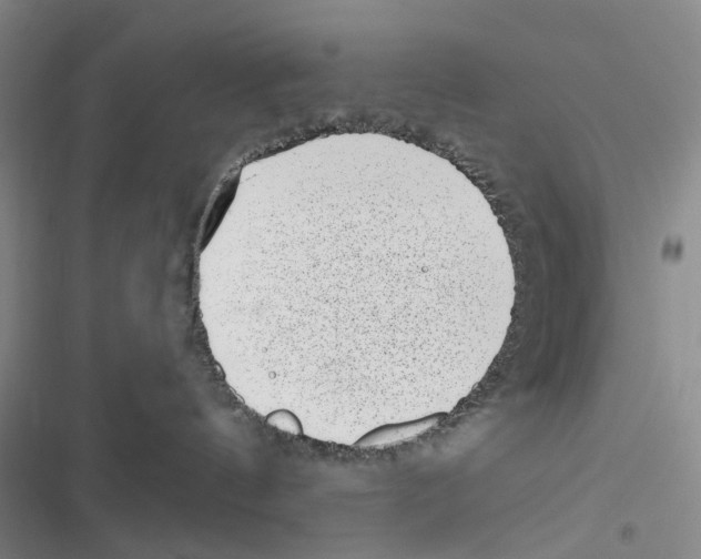 X0000116810144201001151151