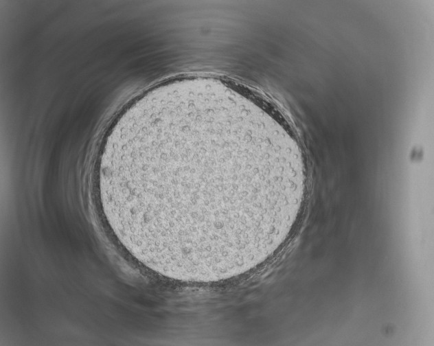 X0000116810145201001151151