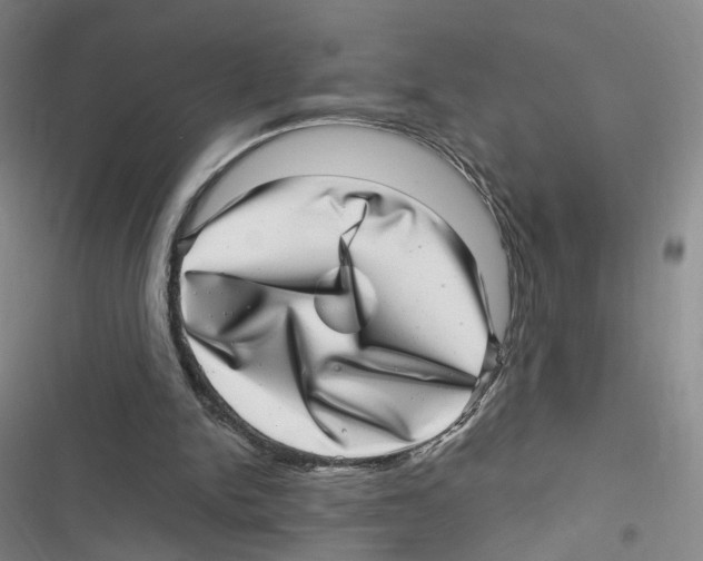 X0000116810150201001151151