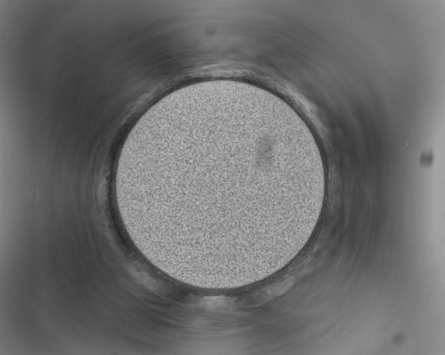 X0000116810153201001151151
