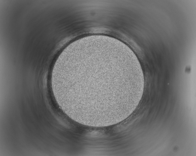 X0000116810155201001151151