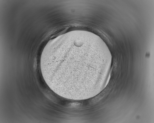 X0000116810158201001151151