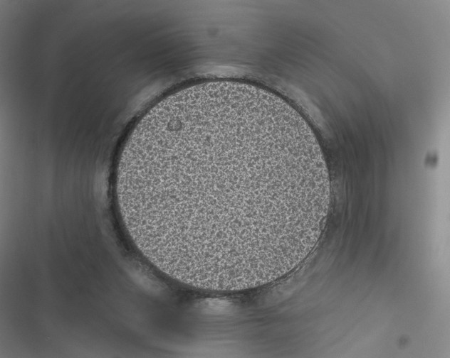 X0000116810159201001151151