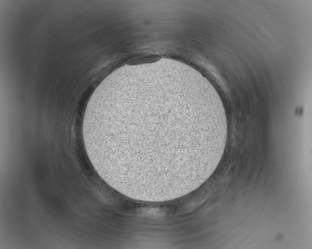 X0000116810161201001151151