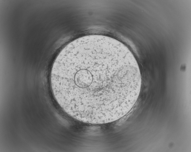 X0000116810162201001151151