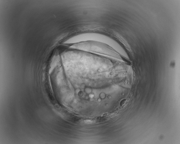 X0000116810163201001151151