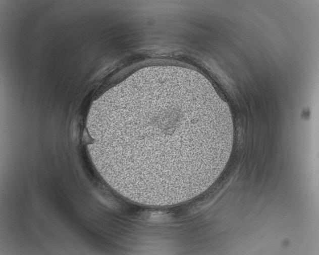 X0000116810165201001151151