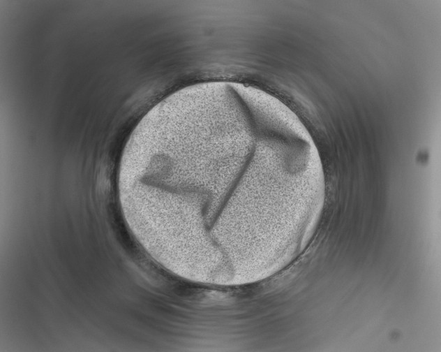 X0000116810166201001151151