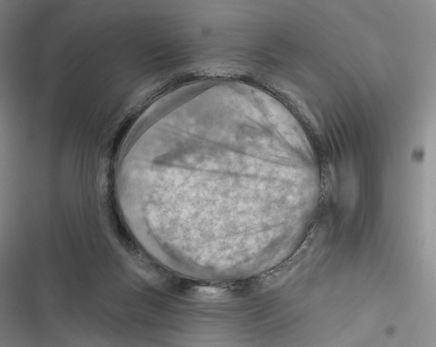 X0000116810167201001151151