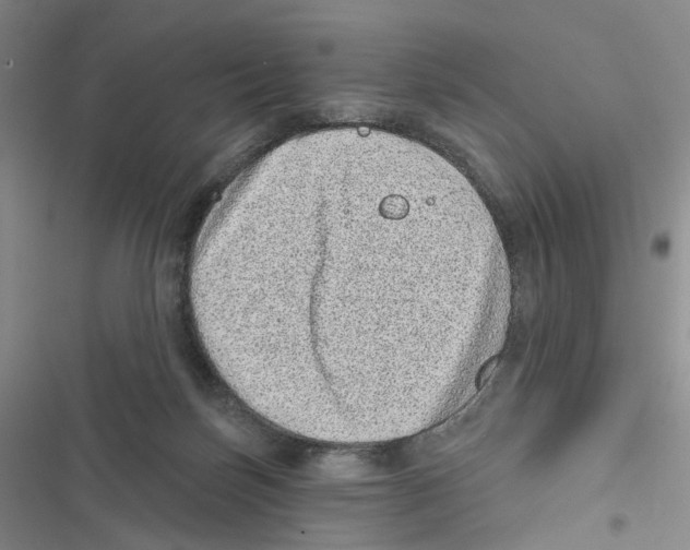 X0000116810171201001151151