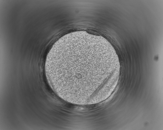 X0000116810174201001151151