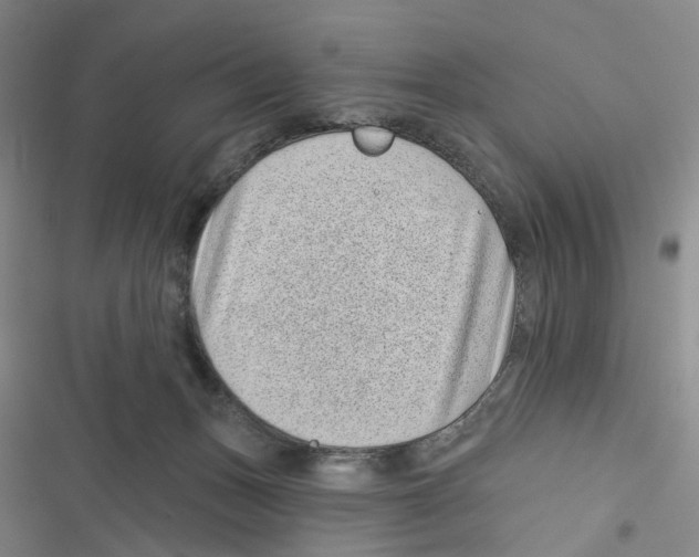 X0000116810175201001151151