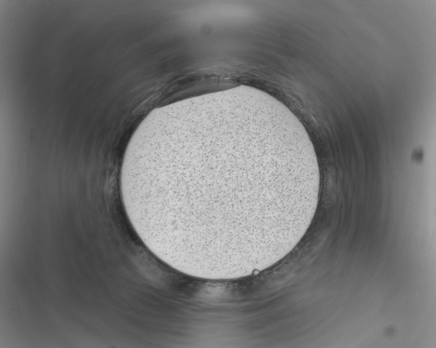 X0000116810177201001151151