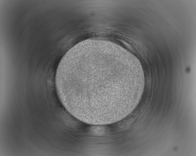 X0000116810181201001151151