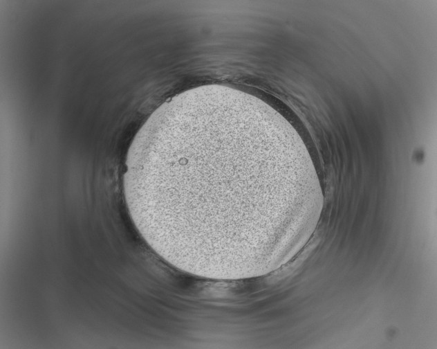 X0000116810182201001151151