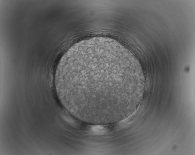 X0000116810183201001151151