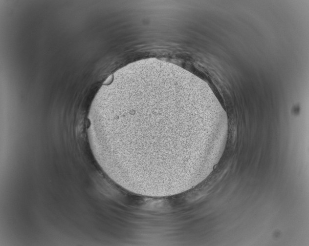 X0000116810185201001151151