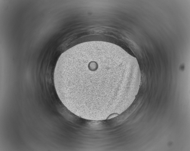 X0000116810189201001151151