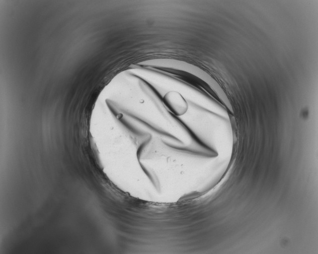 X0000116810190201001151151
