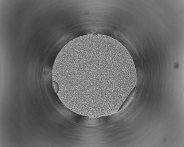 X0000116810191201001151151