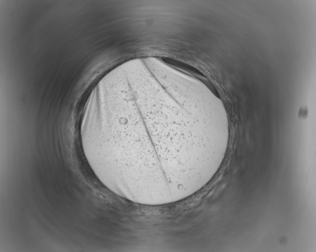 X0000116810194201001151151
