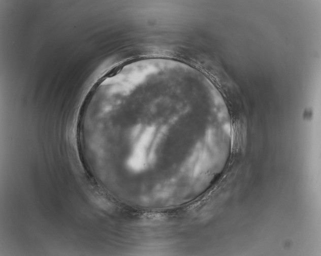 X0000116810195201001151151
