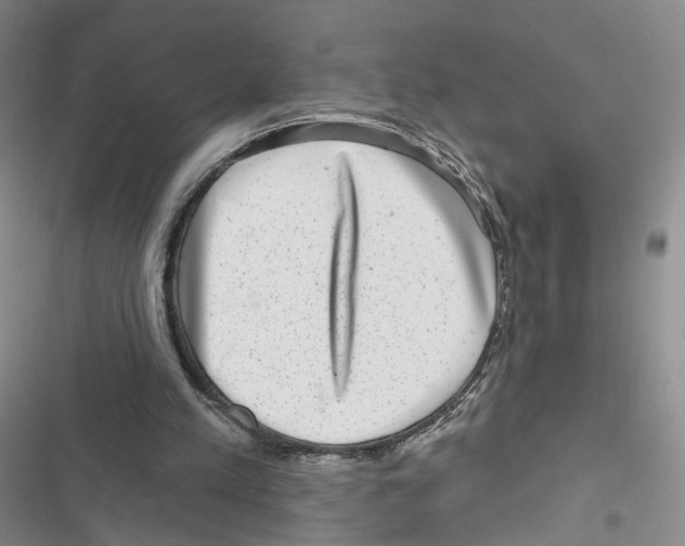 X0000116810197201001151151