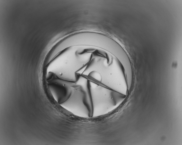 X0000116810199201001151151