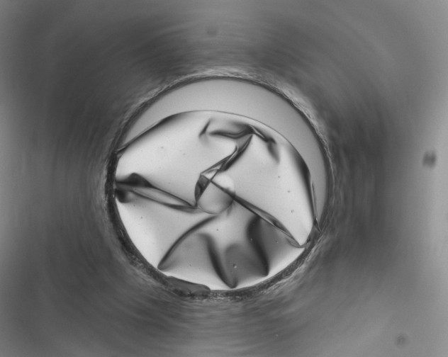 X0000116810201201001151151