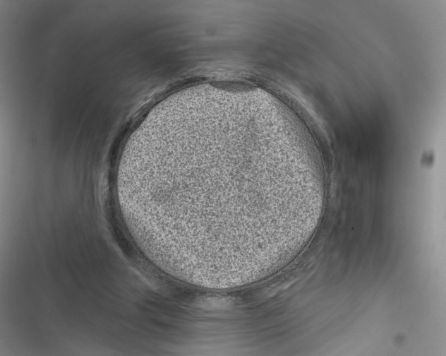 X0000116810202201001151151