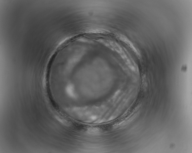 X0000116810203201001151151