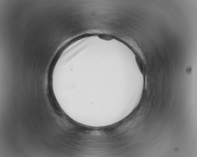 X0000116810204201001151151