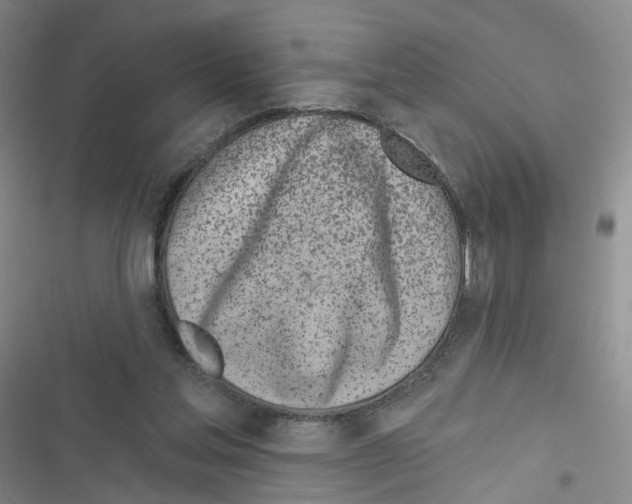 X0000116810205201001151151
