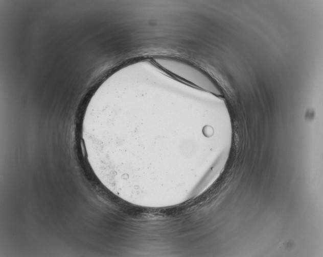 X0000116810207201001151151