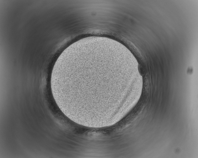 X0000116810208201001151150