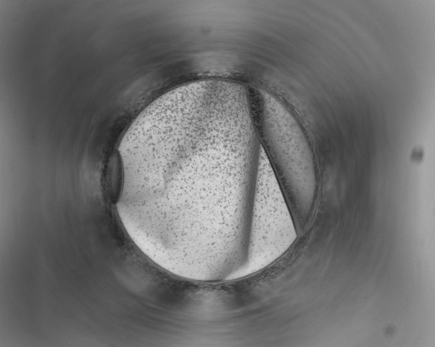 X0000116810209201001151150