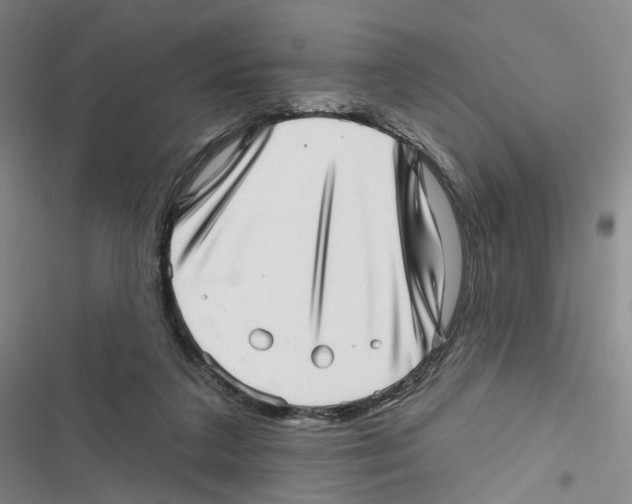 X0000116810211201001151150