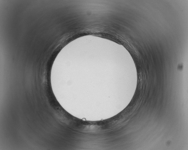 X0000116810212201001151150