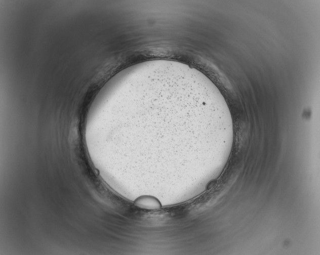 X0000116810213201001151150