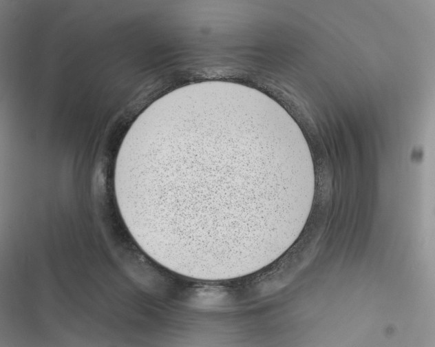 X0000116810214201001151150