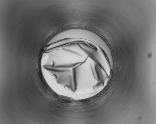 X0000116810215201001151150