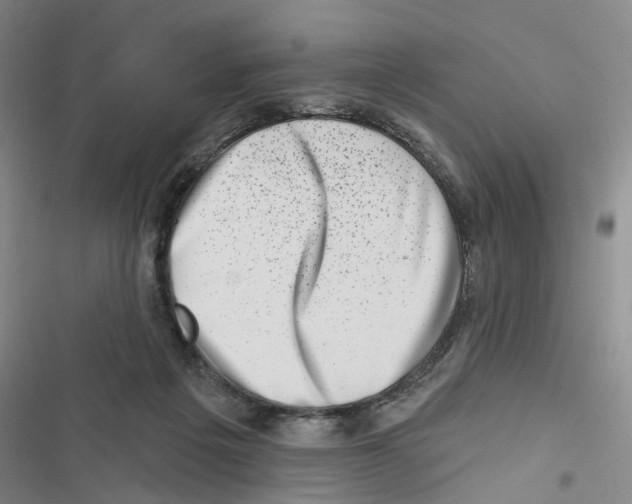X0000116810217201001151150