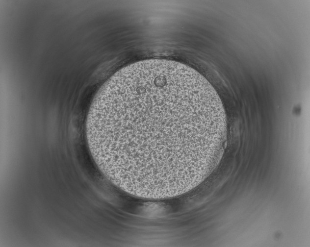 X0000116810218201001151150