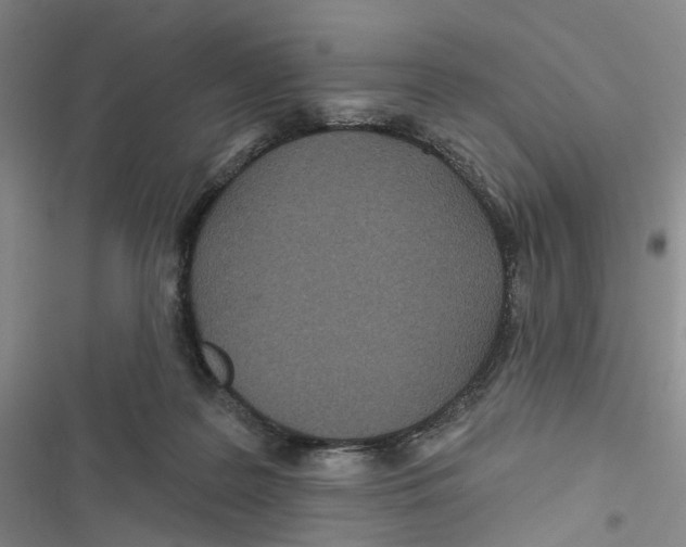 X0000116810219201001151150